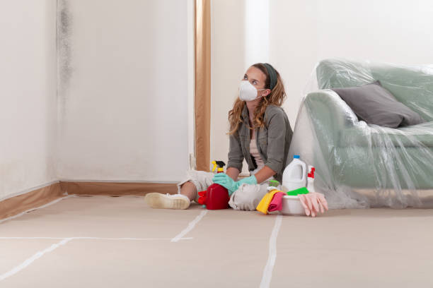 Reliable Mold Removal contractor in Ridgewood, IL by 24 Hour Mold Removal